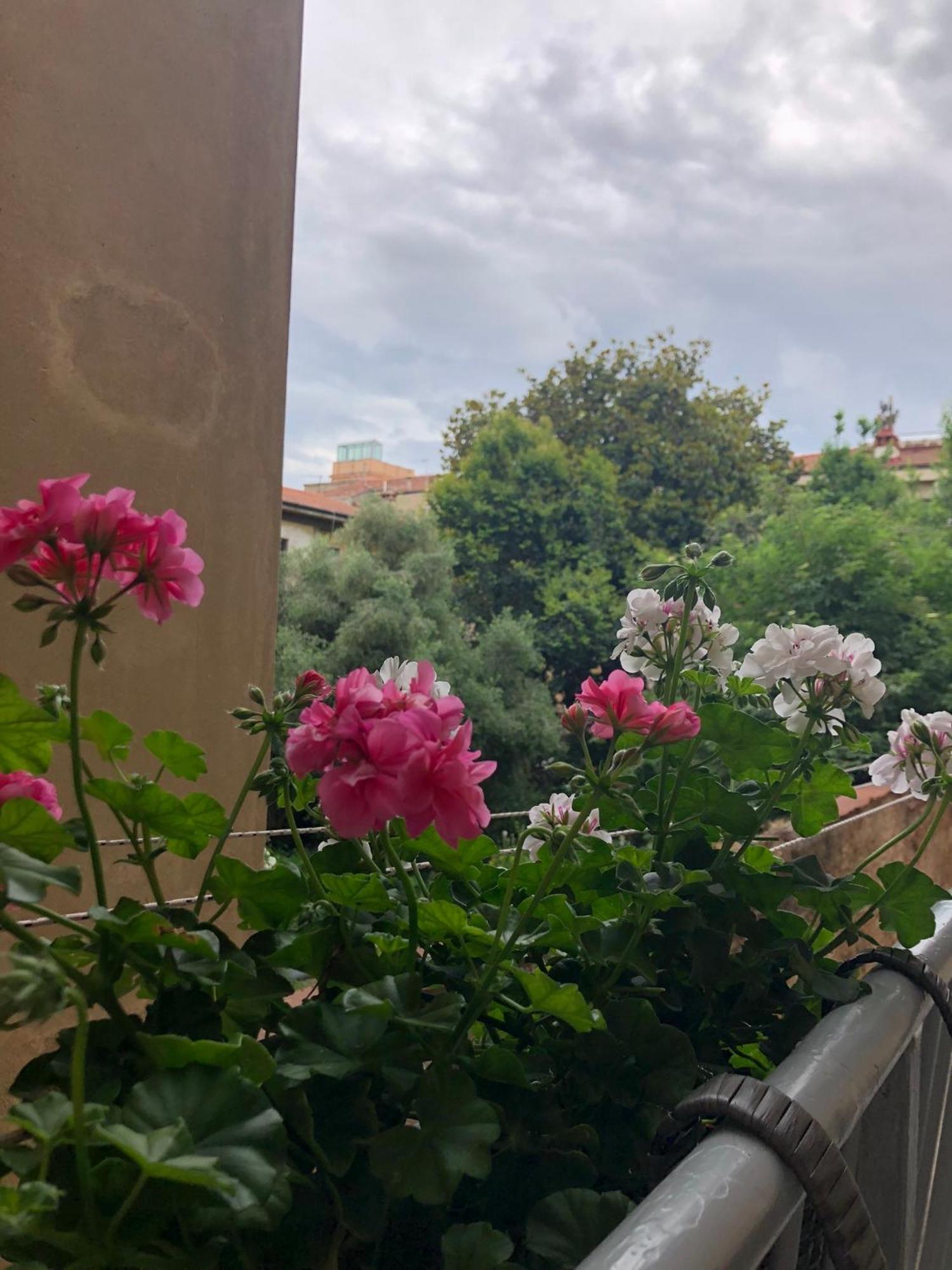 شقة Sonnino House بيزا المظهر الخارجي الصورة