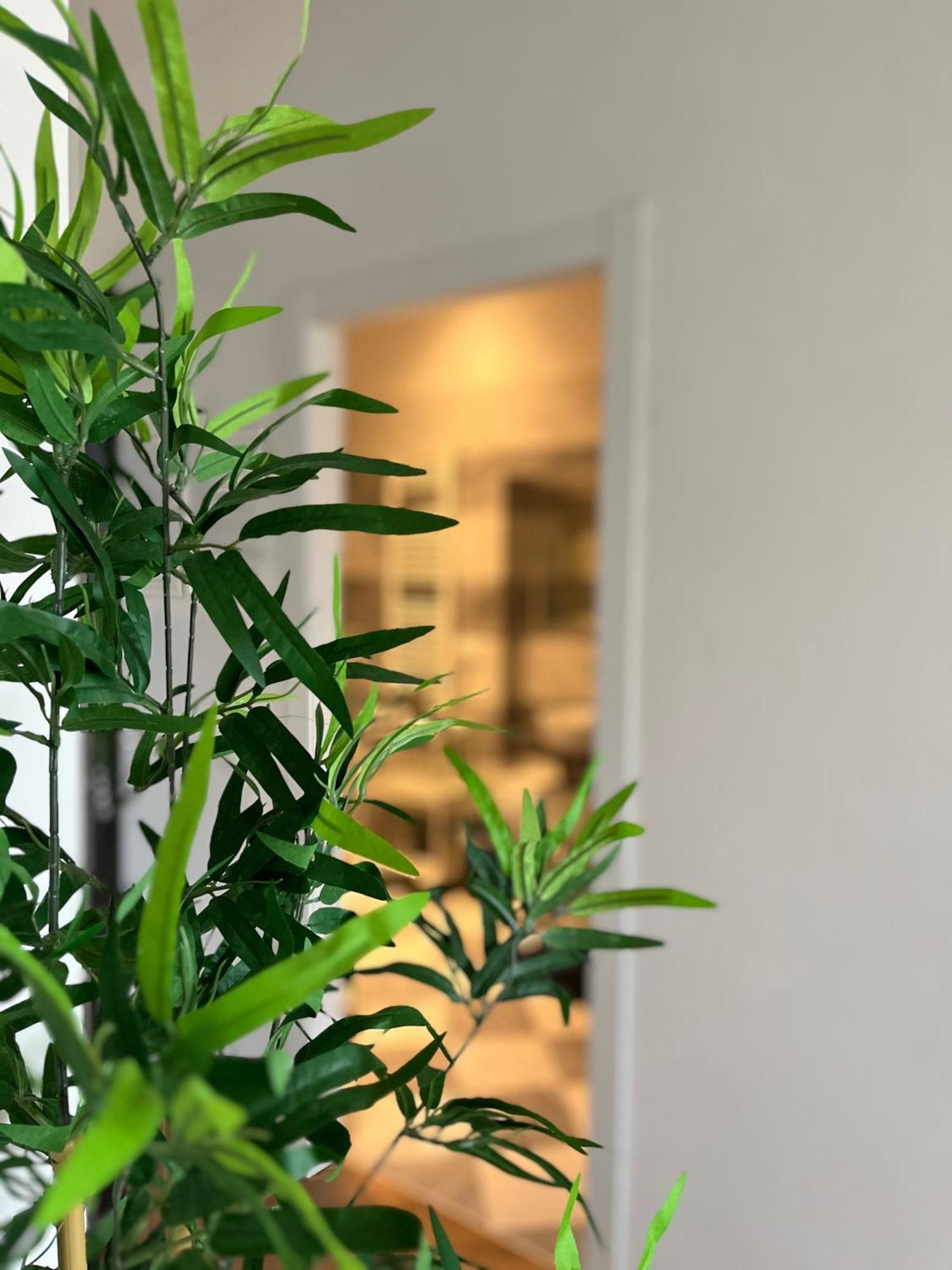 شقة Sonnino House بيزا المظهر الخارجي الصورة